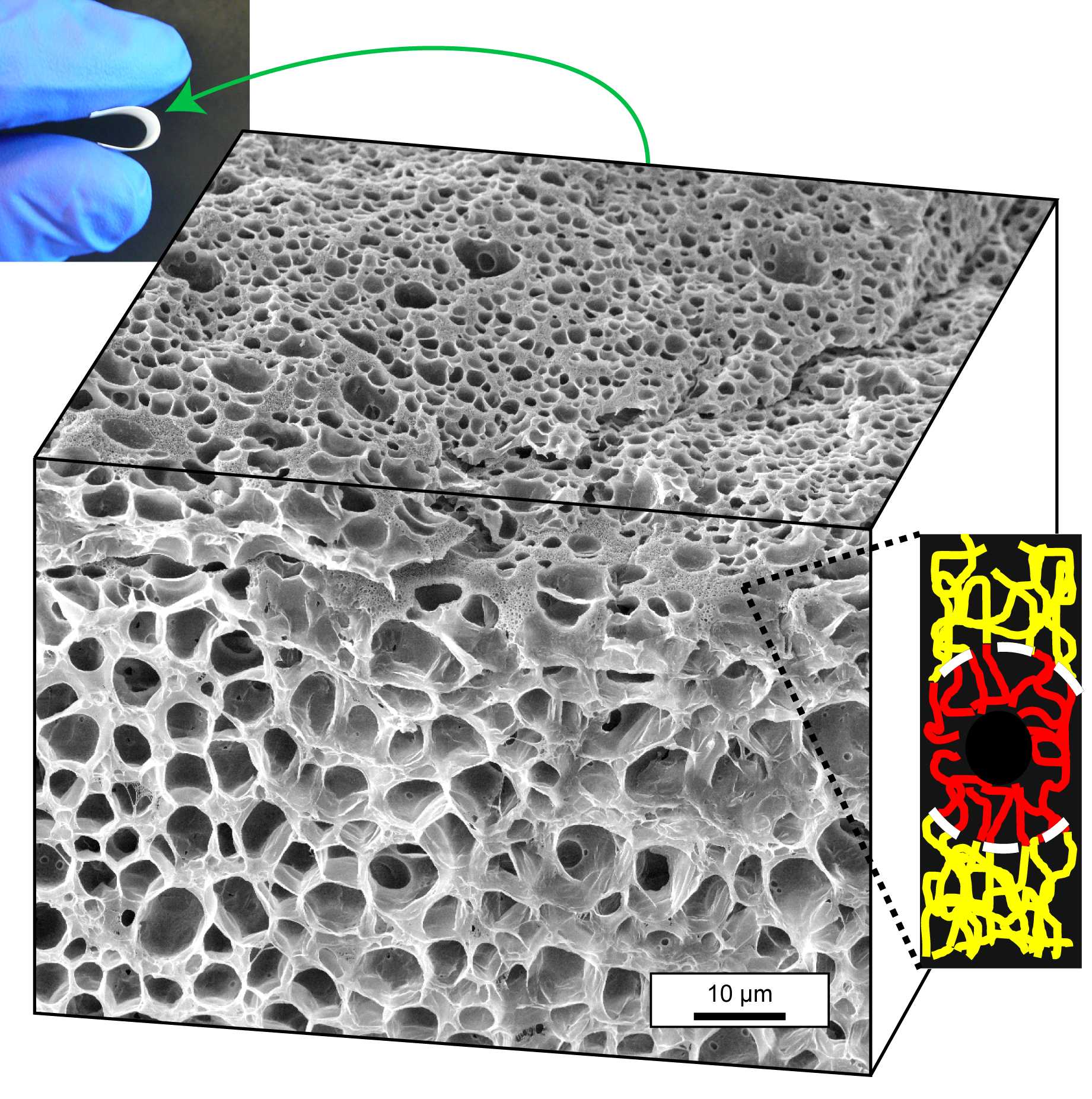 Image of Porous Polymer Film Synthesis by Wiesner Group